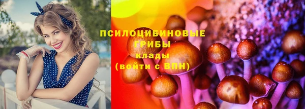героин Алексин