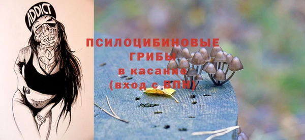 героин Алексин
