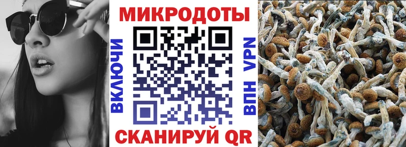 Галлюциногенные грибы GOLDEN TEACHER  купить закладку  MEGA как войти  Нижний Ломов 